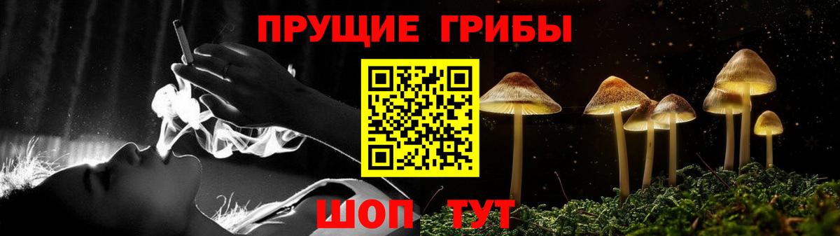 Псилоцибиновые грибы мицелий  Вход с VPN  Златоуст 